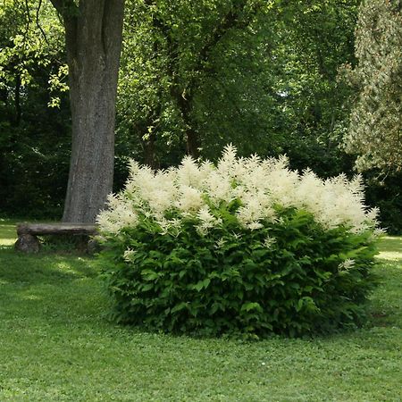 Landgasthof Em Lade Dahlem  Extérieur photo
