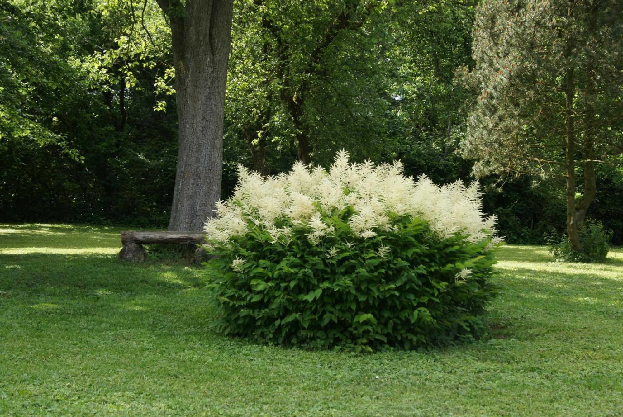 Landgasthof Em Lade Dahlem  Extérieur photo
